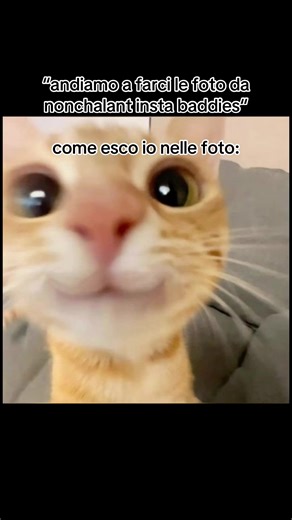 The Curse of Chubby Cheeks: Untold Stories