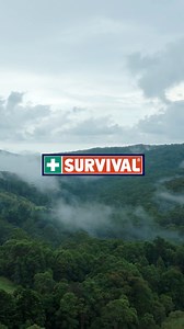 1.2K views | Do you have a Snake Bite Plan? ️ It could be the difference between life and death. Snake bite deaths are relatively rare in Australia thanks to knowledge and access to the right treatment. Make sure you have training, a snake bite kit (or compression bandages at the least) and a reliable form of communication.  Alister Randell Photography | Survival | Facebook