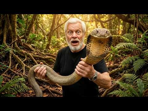 WHAT IS A COBRA?