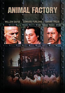 Animal Factory streaming: where to watch online?