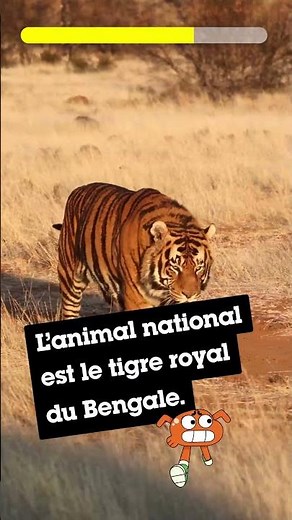Quiz ! Peux‑tu deviner le pays ? #LesChampionsDuClimat #quiz #animaux #shorts ‪@cartoonnetworkFR‬