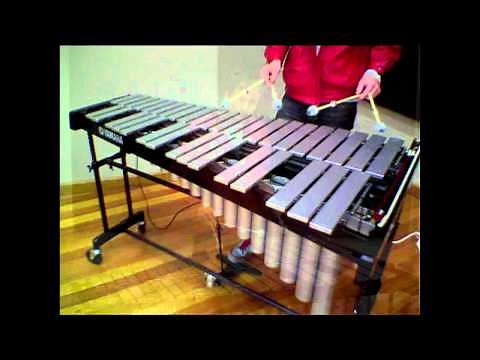 Vibraphone Techniques
