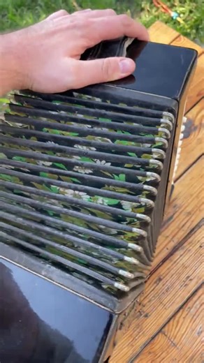 Vintage Tula Russian Bayan Accordion Button Chromatic Folk Instrument USSR - Etsy Canada