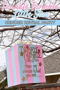 Twinkle Twinkle Little Star Gender Reveal Party - Ideas & Inspiration
