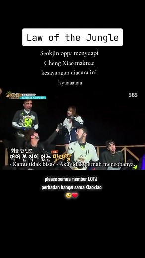 CHENG XIAO on TikTok