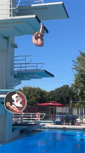 Jack Sparks on Instagram: "3rd 🥉 place at my second FSU meet! Zone cut complete! #diving #flip #dive #rip #fsu #ripdive #springboarddiving #trampoline #twist #gymnastics #olympics"