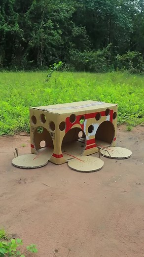 DIY Quail Trapping Method | Creative Bird Trap Technique