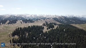 298K views · 3.2K reactions | After a cold winter, the snow finally melts on Tianshan Mountains, in northwest China, and seedlings peek through the soil | Xinhua Culture&Travel | Facebook