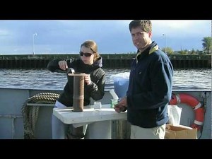 U of M triclosan research