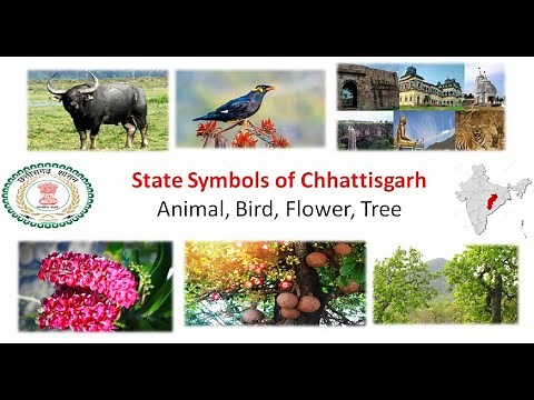 State Symbols Of CHHATTISGARH - Animal, Bird, Flower, Tree || CHHATTISGARH state Symbols