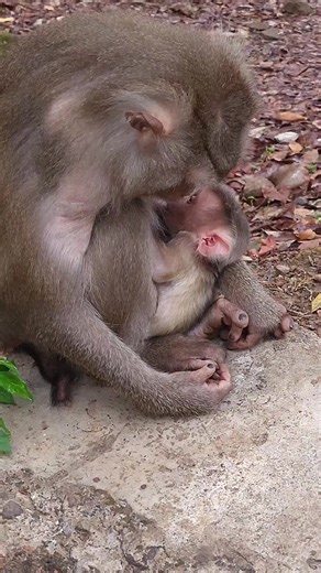 Libby Welcomes a Baby Boy Named Levy!