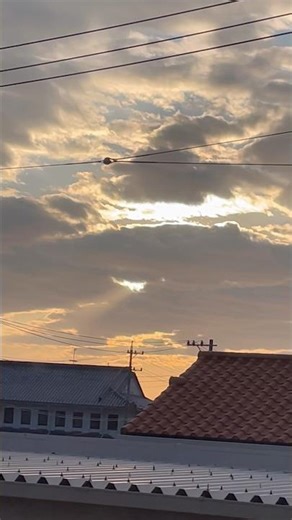 Beautiful sunlight view !! #shorts #ytshorts #reels #vlog