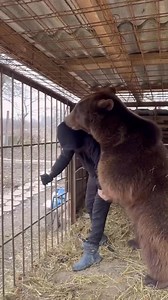 207K views · 1.6K reactions | Training | Karate Techniques | Facebook