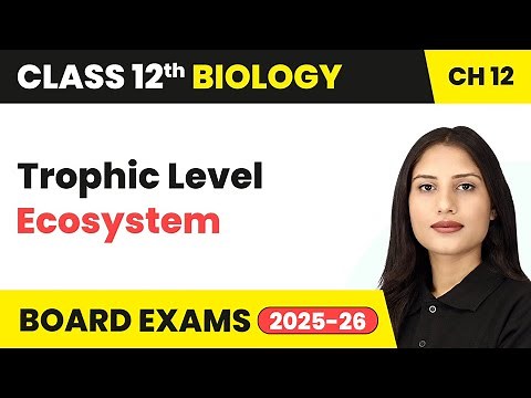 Trophic Level - Ecosystem | Class 12 Biology Chapter 12 | CBSE 2025-26
