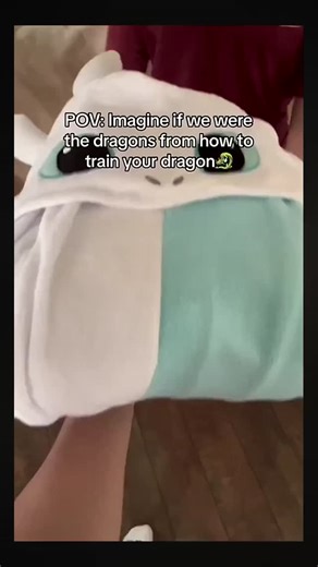 Toothless Plush Official on Instagram: "Imagine you and your little dragon 🐉✨ #httyd #howtotrainyourdragon #onesies"