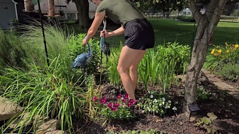 33-35 Inch Blue Heron Garden Statues, Metal Cranes Sculptures Outdoor, Bird Statues Set of 2