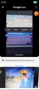 Dora Saves The Prince