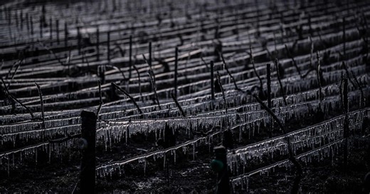 Sweating to Shivering: Study Finds Rapid Swings in Temperature Have Increased