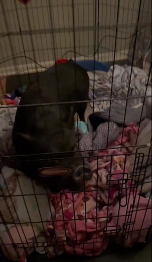 Happy birthday Eddie!