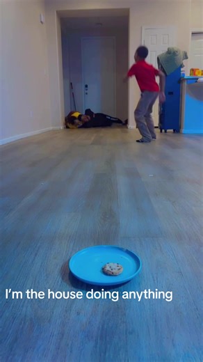 Funny House Moments That Will Make You Laugh