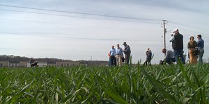 $10B in Emergency Commodity Assistance Program now available for SGA Farmers