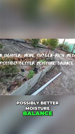 Maple Air Layering Failure Don't Quit, Refine!