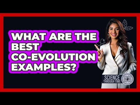 What Are The Best Co-evolution Examples? - Science Through Time