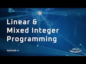 Linear & Mixed Integer Programming