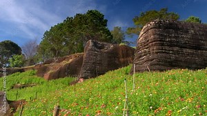 Field of flowers with the sky and rocky cliffs in the background in 4K video with natural light