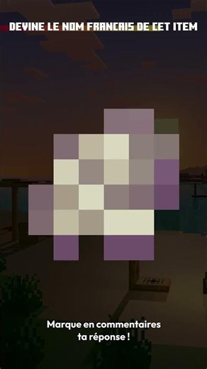 Guess the NAME of this MINECRAFT item in under 10 SECONDS! Quiz 4