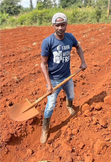 Drip Irrigation Bed Design: 1m Bed with 4 Drip Lines