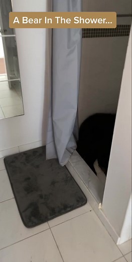 Quarantine Life with Doctor Mike's Dog Bear