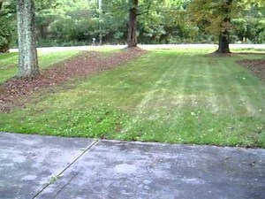 36" Lesco/MTD Pro Walk Behind DEMO