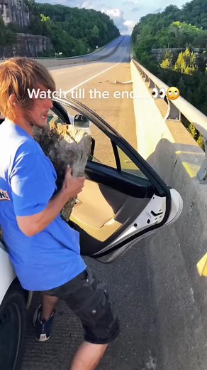 #fy #officepigeon #office #pigeon #sigeonpex