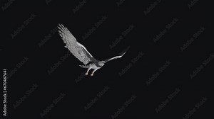 Harpy Eagle - Flying Loop - Side Angle View - Realistic 3D animation isolated on transparent background with alpha channel