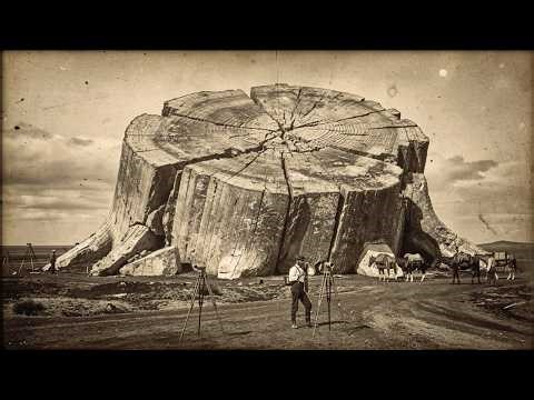 If America’s Mesas Are Giant Tree Stumps, Why Didn’t They Ever Grow Back?