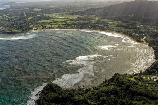 Surfer suffers leg injuries after being bitten by shark at Hanalei Bay