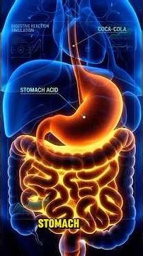 Coca-Cola Inside Your Body 😳 CGI Breakdown”