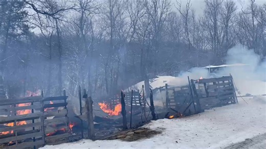 WATCH: A goat barn burnt down in Harrison County on Friday, but the owners said every goat made it out safe. | WBOY 12News