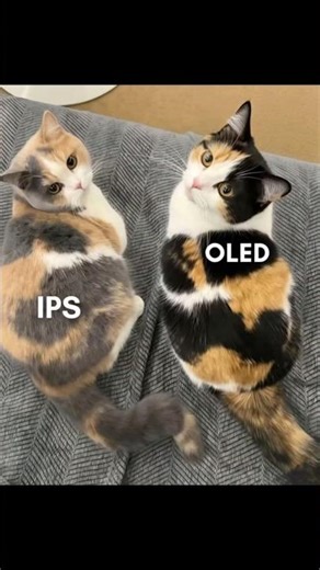 #pcgamer #monitorgaming #ips #oled