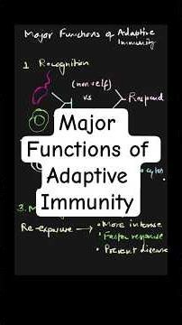 Major Functions of Adaptive Immunity Explained #shorts