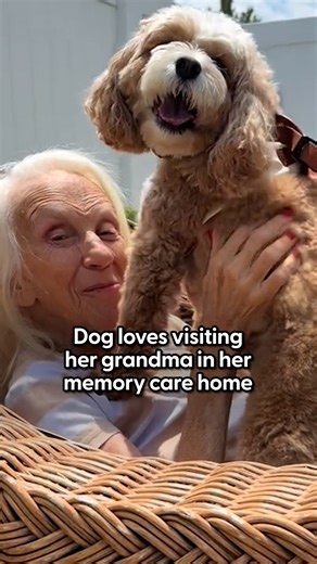 355K views · 7.4K reactions | She goes crazy when she realizes it's time to visit Nana ❤️ We spoke to Georgia's dad who told us all about their special relationship, and how Georgia has helped Nana through her Alzheimer's. Keep up with Georgia, Nana & Adam on TikTok: thedo.do/adammandell29. | The Dodo | Facebook