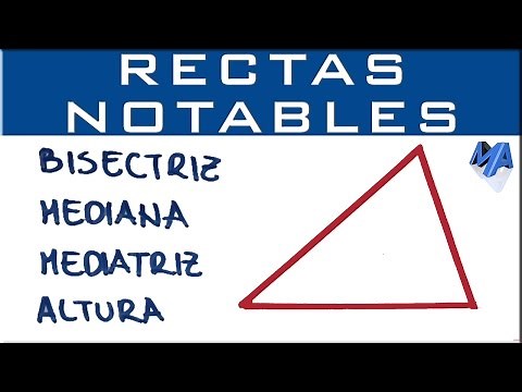 Rectas notables de un triángulo | Bisectriz, mediana, mediatriz y altura