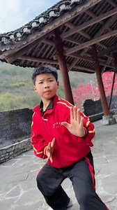 9.4K views · 5.9K reactions | A quick lesson for n Chinese Boxing 壘  | Chang of Shaolin | Facebook