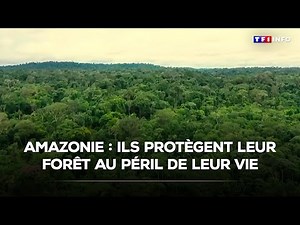 Amazonie : ils protègent leur forêt au péril de leur vie｜TF1 INFO