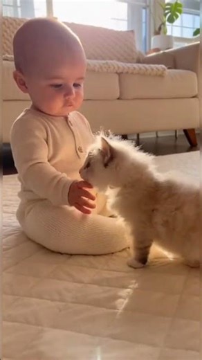 Unforgettable First Meeting Between Baby and Cat 🐱👶#Shorts #BabyAndCat #CuteAnimals #FunnyKids