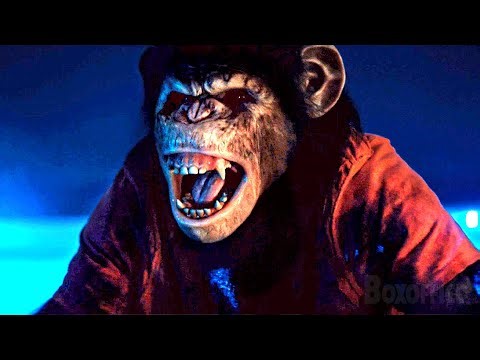 Her pet monkey has rabies | Primate | CLIP