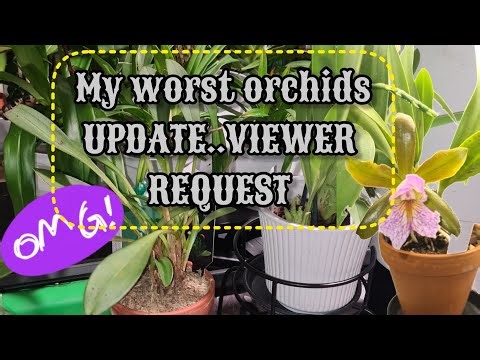 ORCHID RECOVERIES FAILURES AND TROUBLESHOOTING ETC