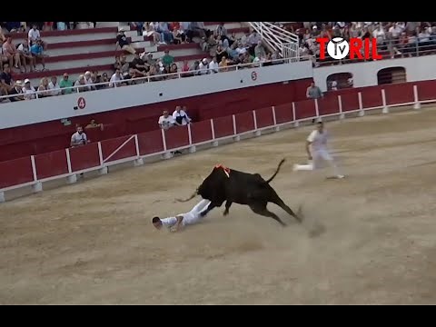 PALAVAS 07 et 08 mai 2023 - Retour en vidéo Courses Camarguaises