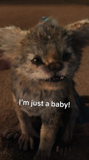 Cutest Chupacabras Encounter in Heartfelt Film on Netflix!